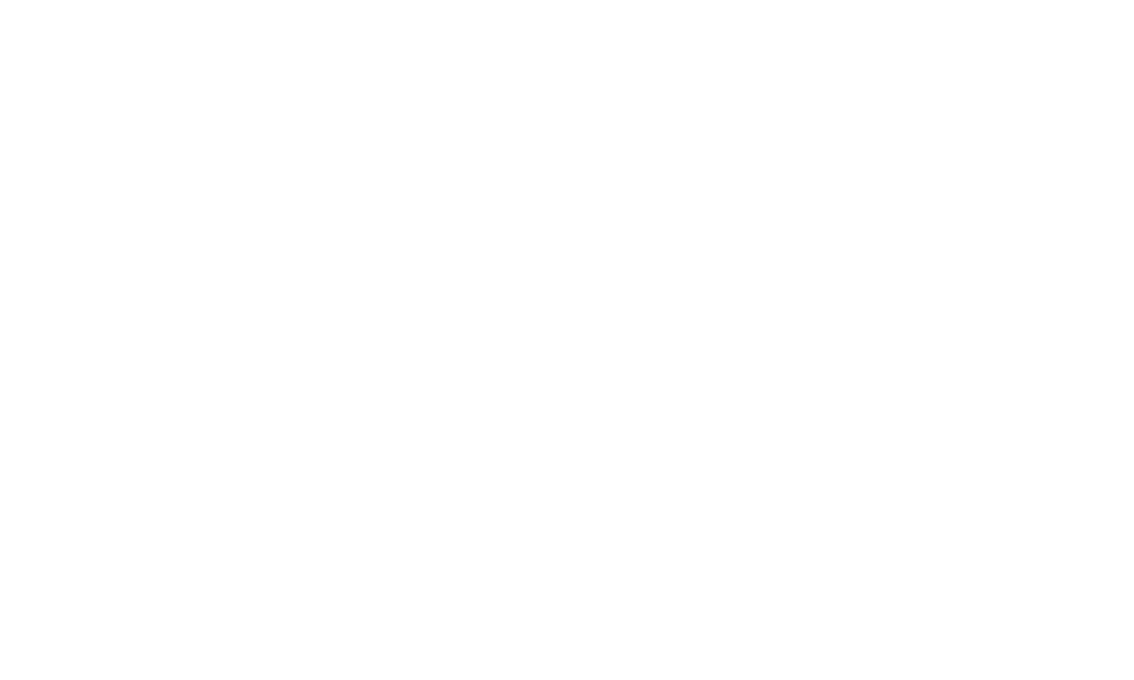 Home Hytera Logo